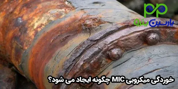 خوردگی میکروبی MIC چگونه ایجاد می شود؟ خوردگی میکروبی MIC چگونه ایجاد می شود؟